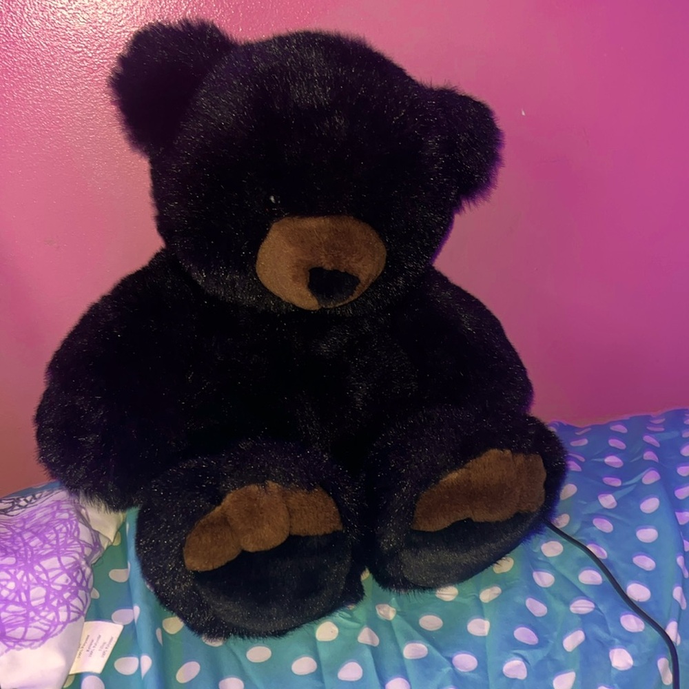 Stuffed bear